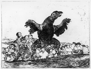 The Carnivorous Vulture, plate 76 from 